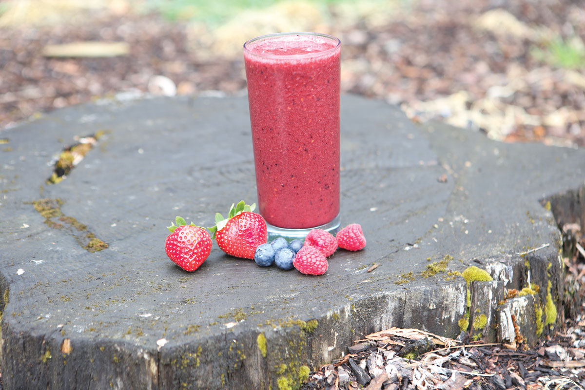 Berry Smoothie: 1½ cups ice, ½ cup strawberries, ½ cup raspberries, ½ cup blackberries, ¼ cup blueberries, 1 Tbsp. honey, ¼ cup cranberry juice
