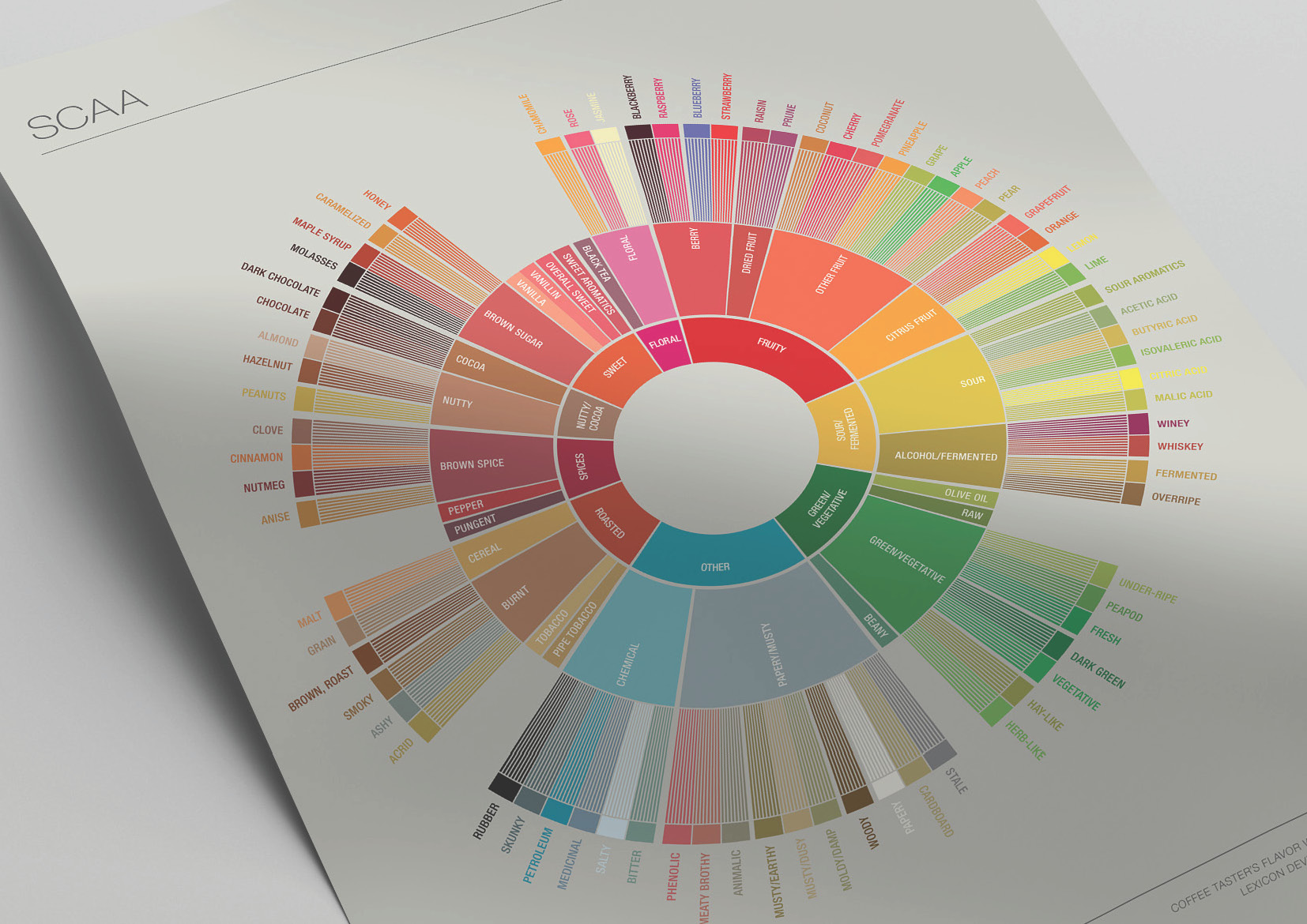 SCAA_FlavorWheel_Poster.01.18.15_Page_2