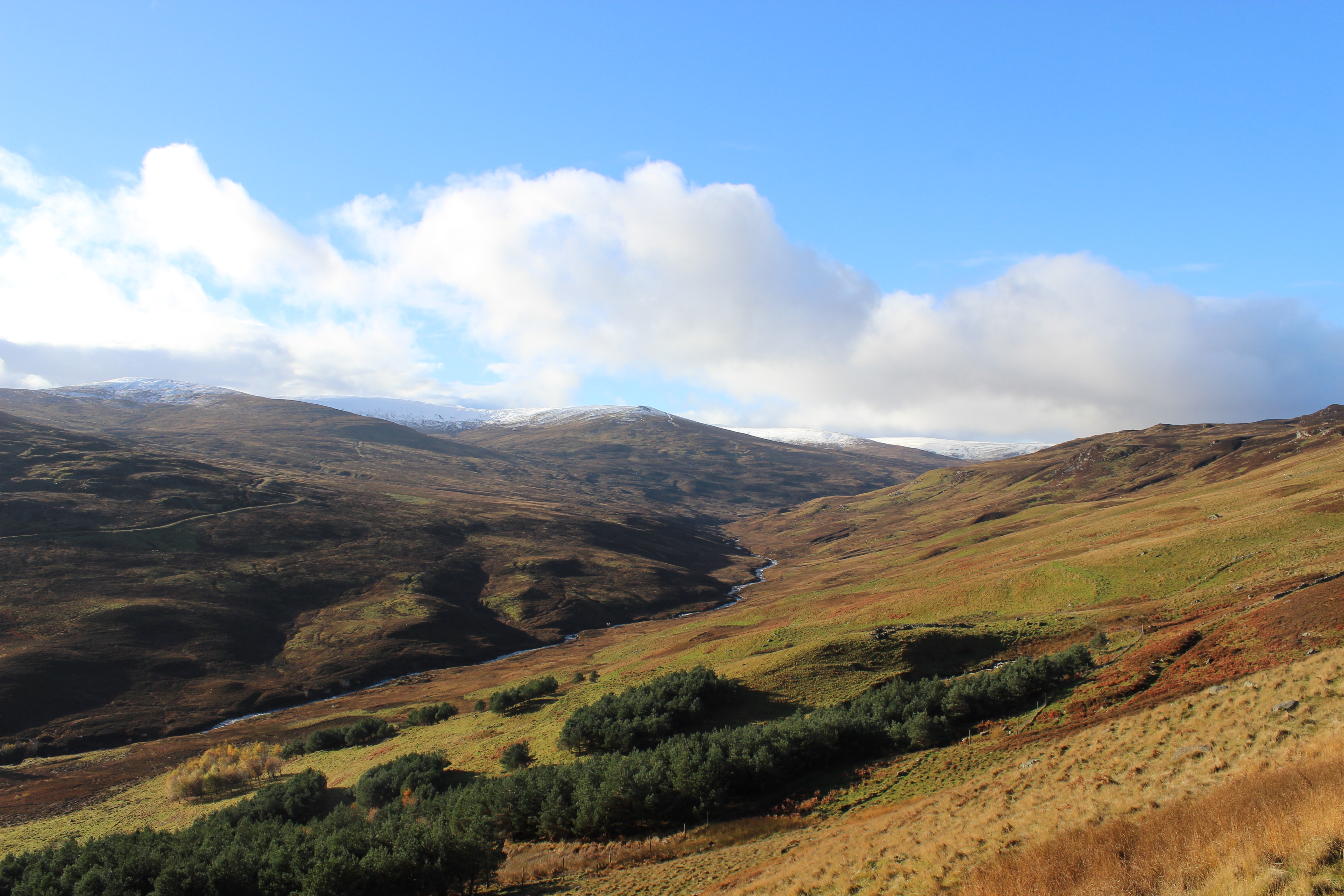 Dalreoch's Strathbraan Glen, Scottish Highlands.
