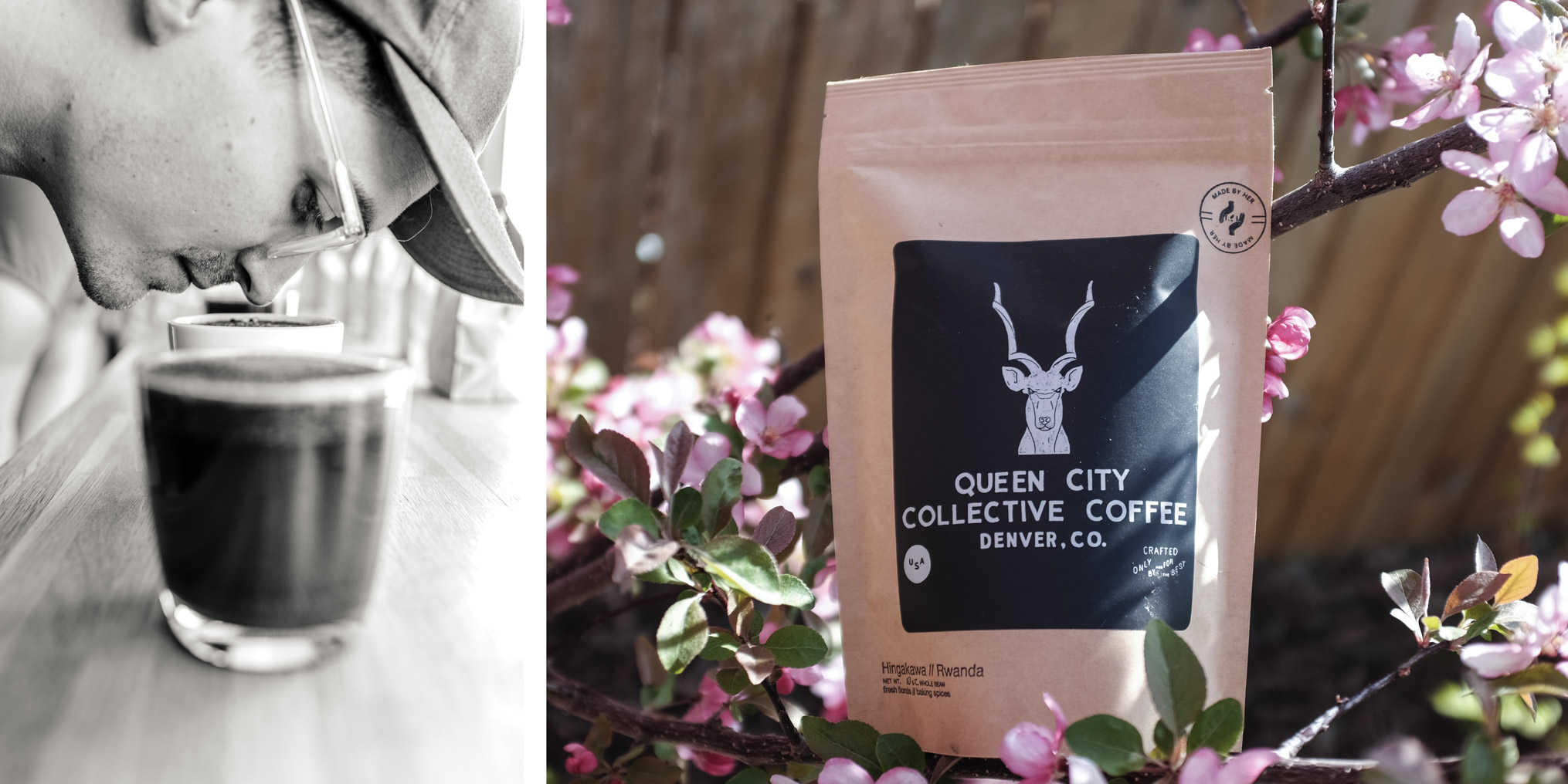 Queen City Coffee Collective